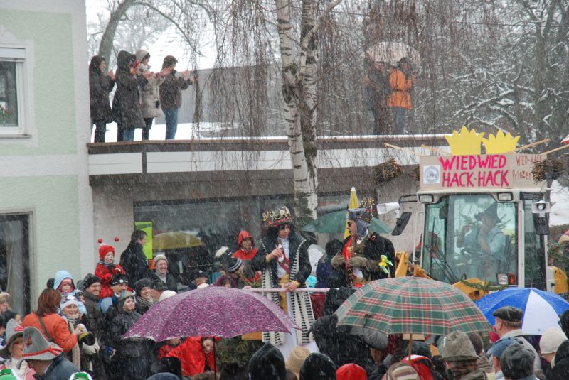 faschingszug039